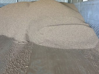 300mt Faba Beans