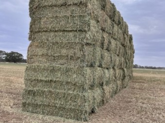 60mt Wheaten Hay 730kg 8x4x3 Bales