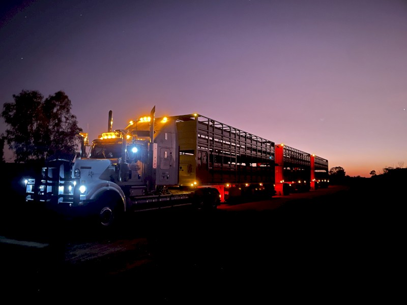 WANTED Unroadworthy 6 Deck Cattle Trailers