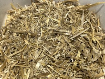 ‘Steamed’ Barley Trailed Straw