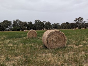 Clover and Rye round bales