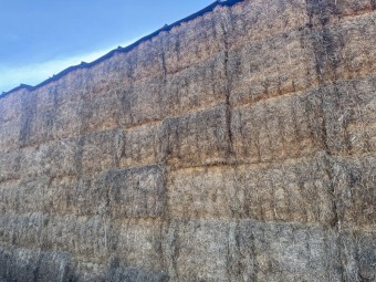 Vetch Hay 25/26 season