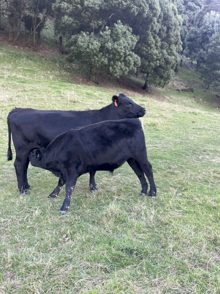 WANTED Lease Property