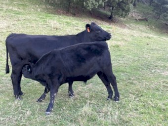 WANTED Lease Property