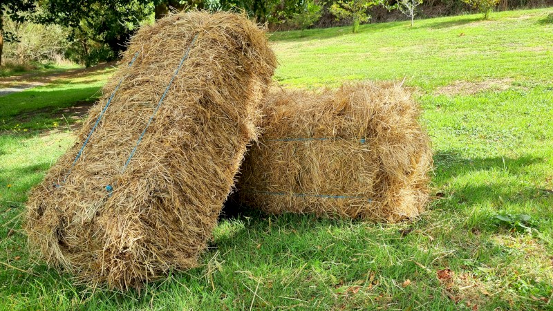 Small square mix rye clover grass bales