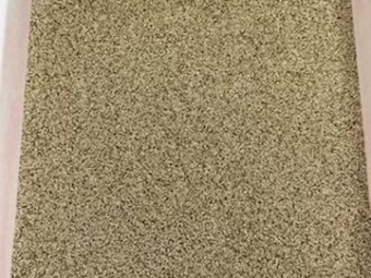 Teff Seed Ivory and Brown