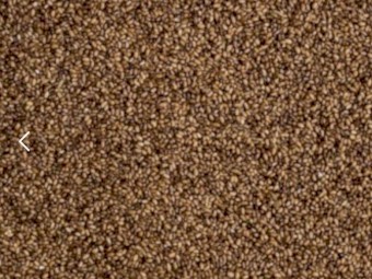 Teff Seed Ivory and Brown
