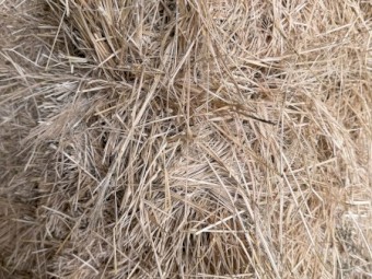 Rhodes Hay Small Squares Bales