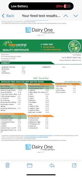 82mt Vetch Hay 8x4x3 Bales