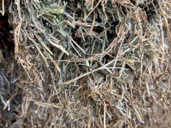 82mt Vetch Hay 8x4x3 Bales