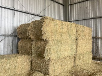 10mt Wheaten Hay 720kg 8x4x3 Bales