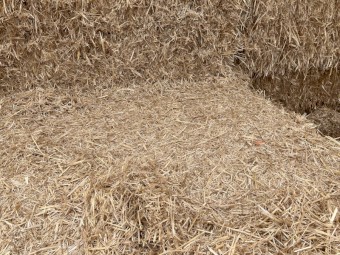 Oat Straw Tarped Bottom and edge bales Make an Offer