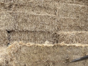 Oat Straw Tarped Bottom and edge bales Make an Offer