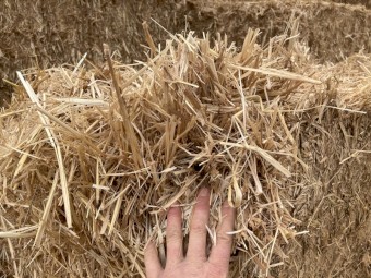 Oat Straw Tarped Bottom and edge bales Make an Offer