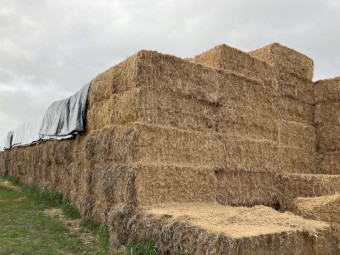 Oat Straw Tarped Bottom and edge bales Make an Offer