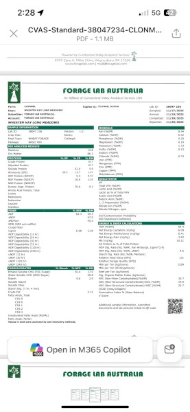 2025 Wheaten Hay 8x4x3 Bales 