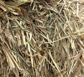 2025 Wheaten Hay 8x4x3 Bales 