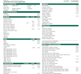 2025 Wheaten Hay 8x4x3 Bales 