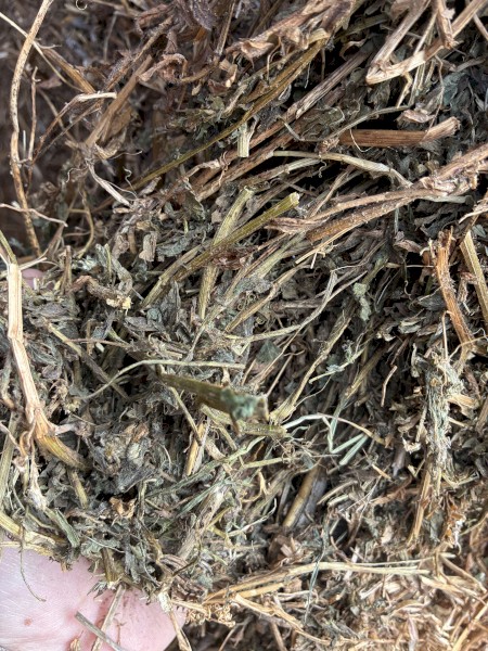 250mt Vetch Hay 620kg 8x4x3 Bales