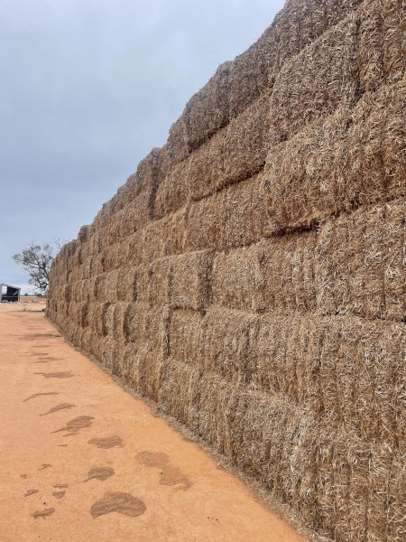 60mt Vetch Hay 8x4x3 Bales
