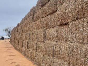 60mt Vetch Hay 8x4x3 Bales