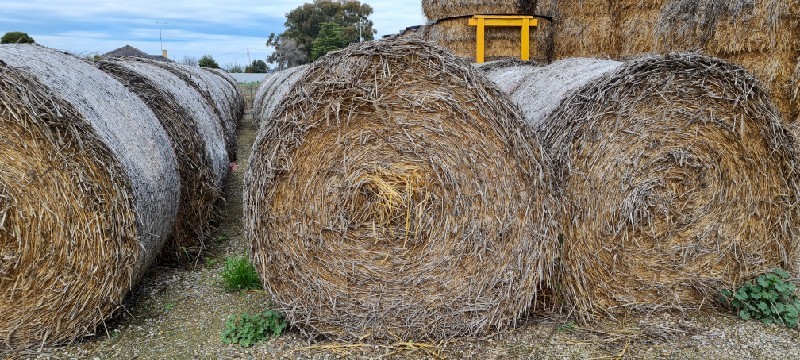 Triticale/Pea Rolls for sale.