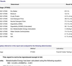 Wheaton Hay in Rolls