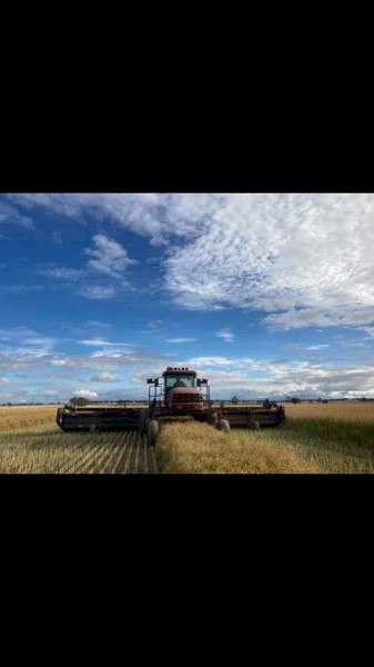 WANTED Macdon D60/65 30ft Windrower Front