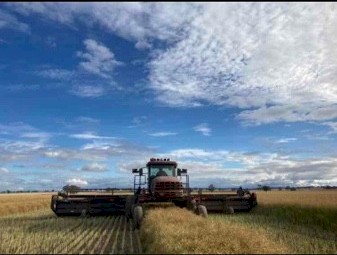 WANTED Macdon D60/65 30ft Windrower Front