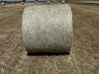 100mt Wheaten/clover Hay Round bales