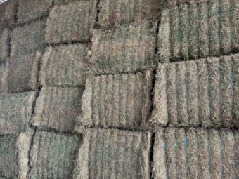 45mt Lucerne Hay 700kg 8x4x3 Bales