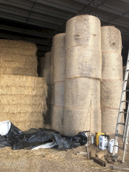 200mt Oaten Hay 650-725kg 8x4x3 HD Bales