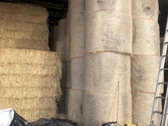 200mt Oaten Hay 650-725kg 8x4x3 HD Bales