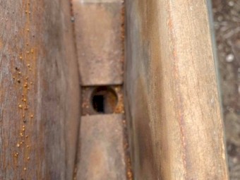 John Shearer Off Set Disc Seeder