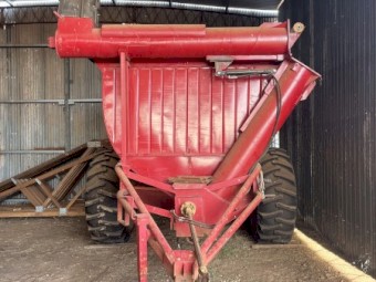 Bordignon Chaser Bin