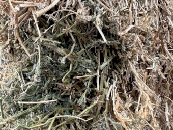 200mt Vetch Hay 650kg 8x4x3 Bales