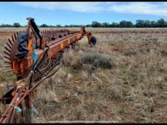 Pederick Stick Rake - 8 wheel