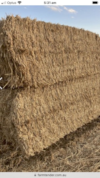 Wheaten Straw Windrowed