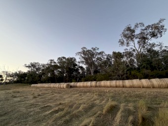 Pasture Hay Round Bales