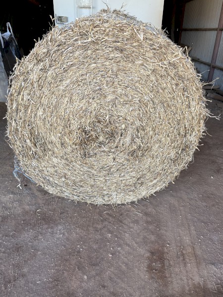 Pea Straw 300kg Round Bales