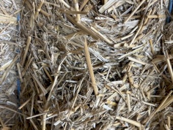 Wheaten Straw 460kg 8x4x3 Bales