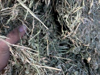 80mt Lucerne Hay 8x4x3 Bales