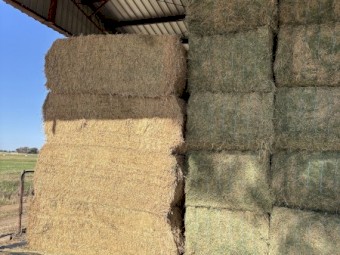 80mt Lucerne Hay 8x4x3 Bales
