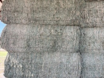 80mt Lucerne Hay 8x4x3 Bales