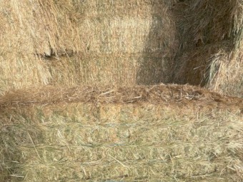 40mt Oaten Hay 675kg 8x4x3 Bales