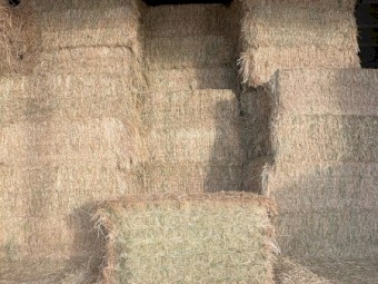 40mt Oaten Hay 675kg 8x4x3 Bales