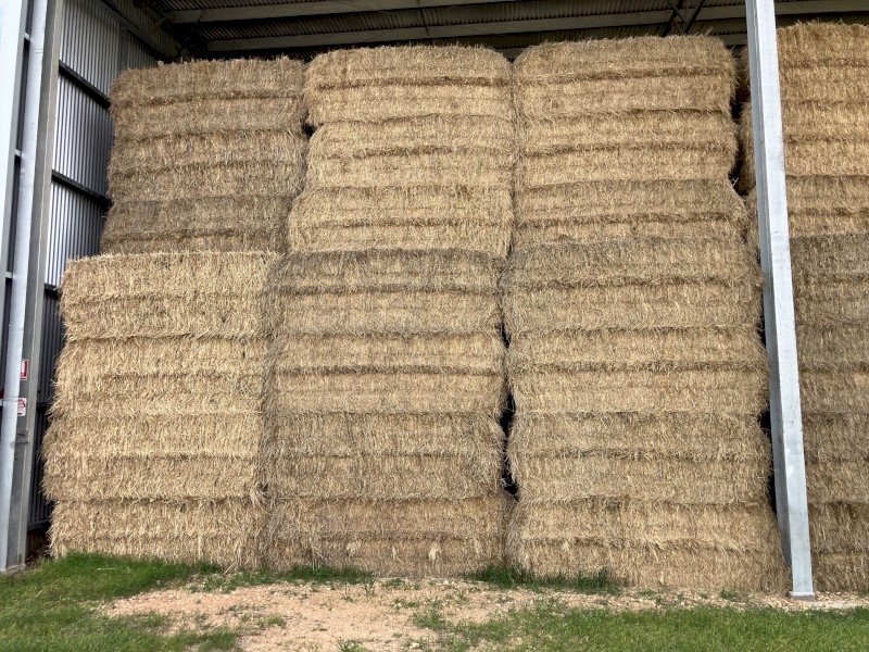 Ryegrass Hay 8x4x3