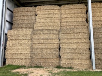 Ryegrass Hay 8x4x3