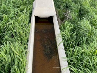 Concrete stock troughs