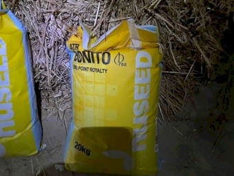 2 x Bags of Canola